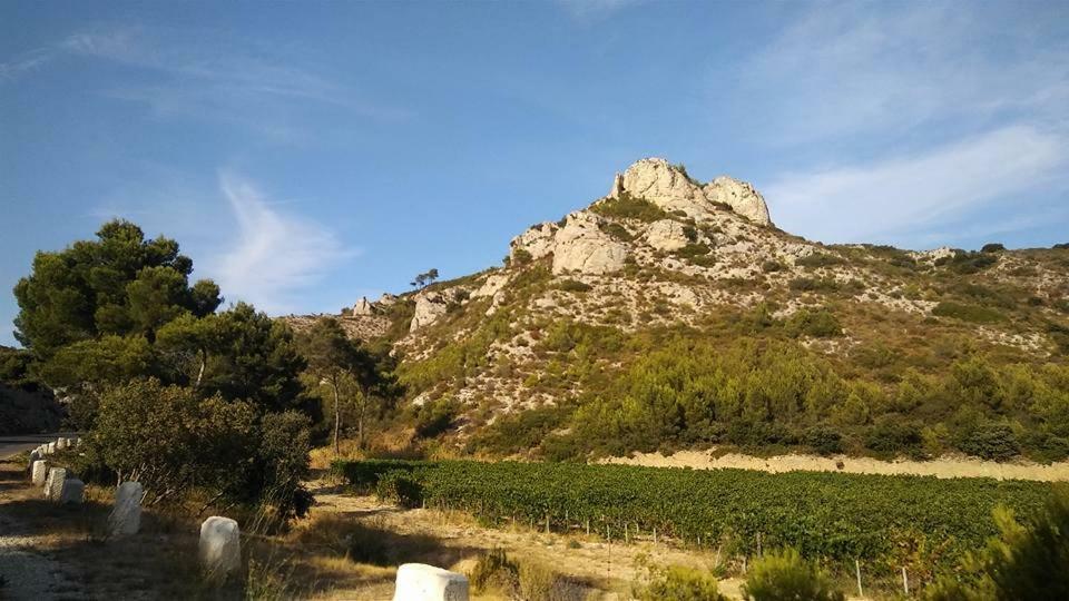 Saint-Rémy-de-ProvenceLe Lapin Blanc公寓 外观 照片